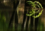 Naturens Galleri