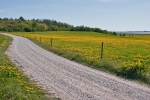 MÃ¦lkebÃ¸ttemark