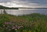 Aften
